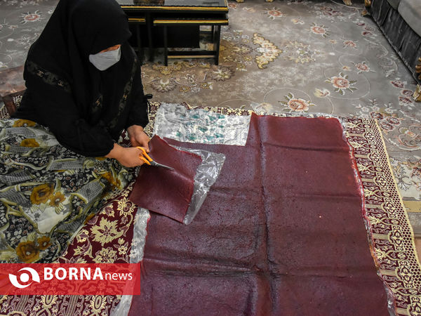 ماه منیر بانوی موفق کارآفرین