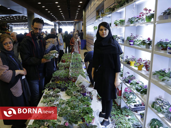شانزدهمین نمایشگاه بین المللی گل و گیاه تهران
