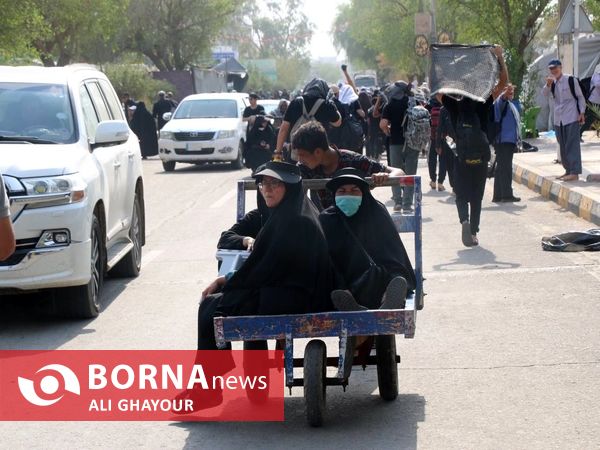 پیاده روی زوار اربعین حسینی در مسیر نجف به کربلا