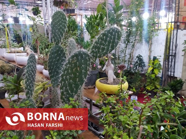 نمایشگاه فروش بهاره