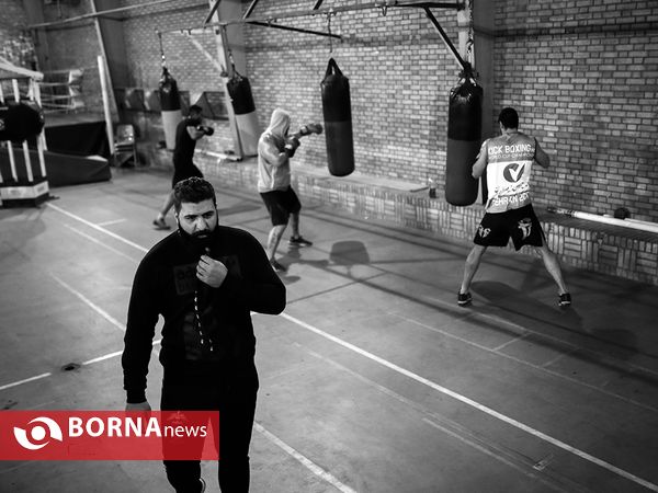امیر علی اکبری قهرمان رشته MMA