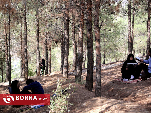 دعای عرفه در تپه الشهدای شیراز