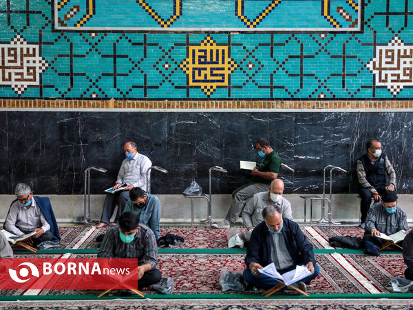 ترتیل خوانی قرآن کریم در حرم مطهر رضوی