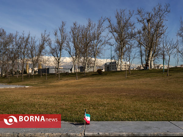 راهپیمایی روز ۲۲ بهمن - تهران ( ۴ )