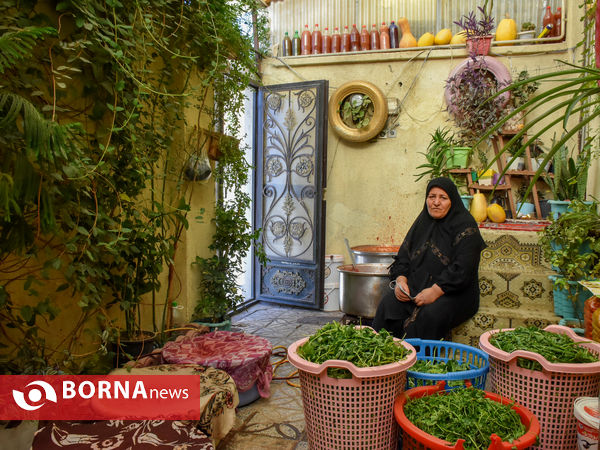 ماه منیر بانوی موفق کارآفرین