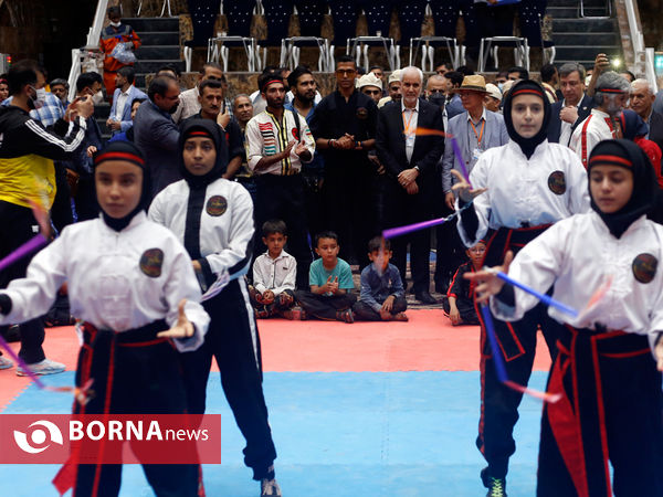 اختتامیه چهارمین نشست سالانه هیات رئیسه کمیته هنرهای رزمی یونسکو در شیراز