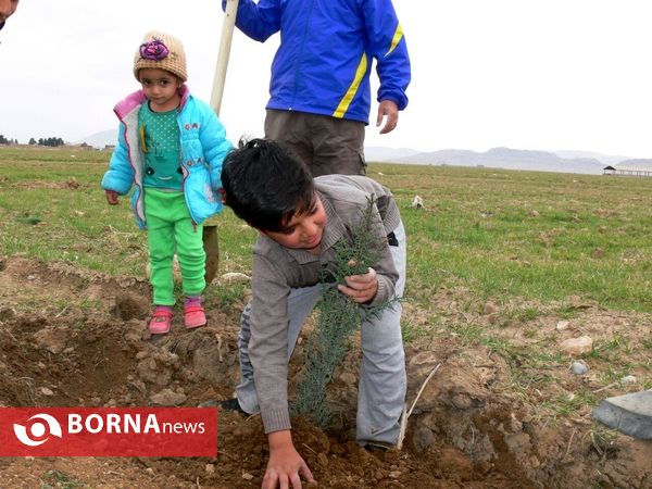 آغازفعالیتهای درختکاری در رومشکان درآستانه هفته منابع طبیعی