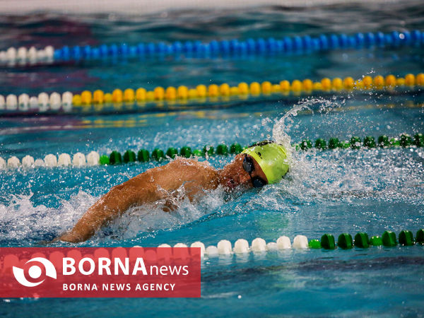 افتتاحیه مسابقات شنا مسافت کوتاه جام ولایت امام رضا(ع)