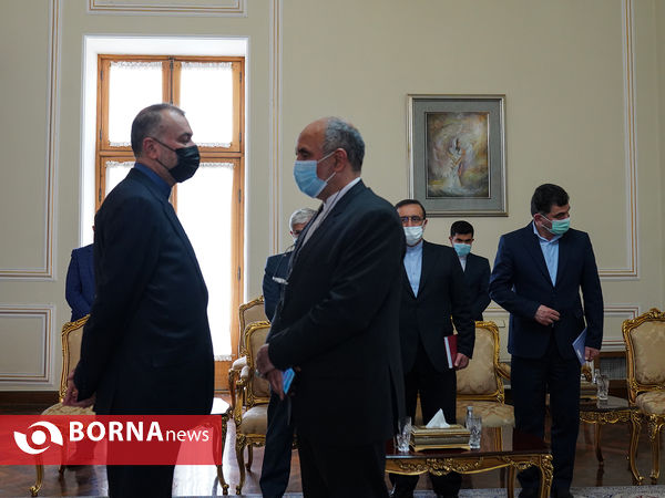 دیدار وزیر فرهنگ غنا با امير عبداللهيان