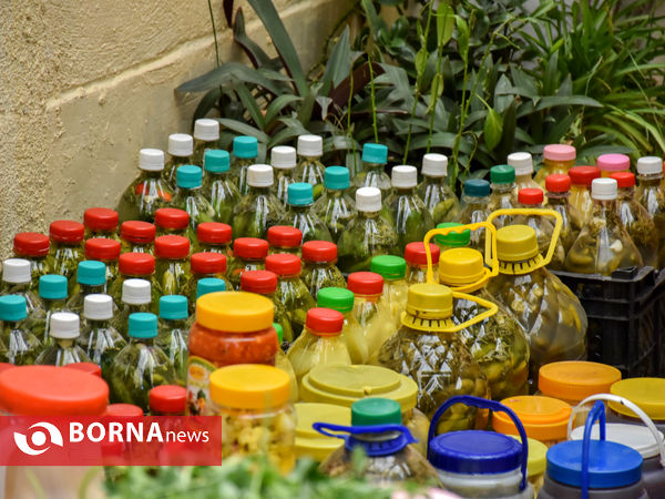 ماه منیر بانوی موفق کارآفرین