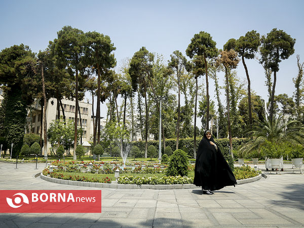 در حاشیه جلسه هیات دولت