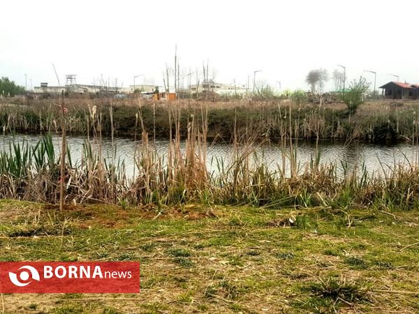 تالاب حاجی آباد لاهیجان