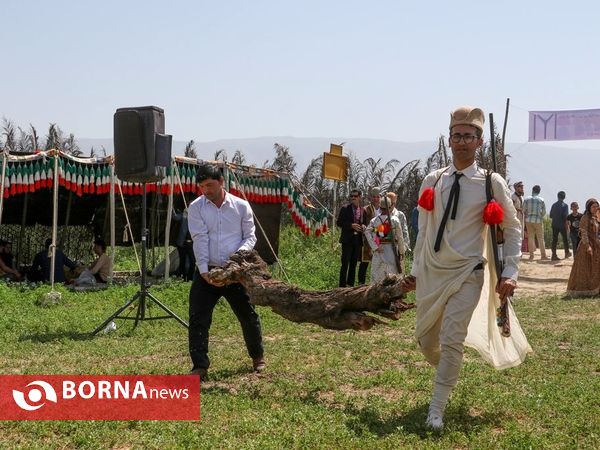 جشن ازدواج در عشایر ایل بزرگ قشقایی