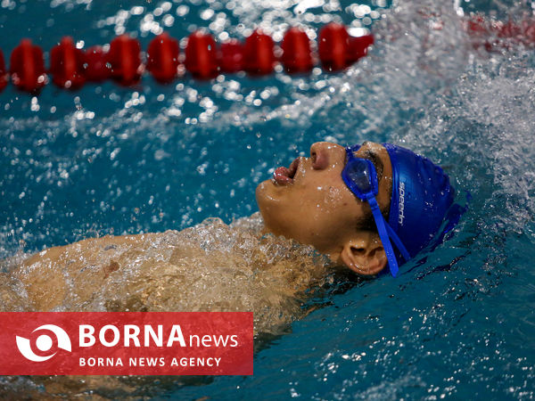 افتتاحیه مسابقات شنا مسافت کوتاه جام ولایت امام رضا(ع)