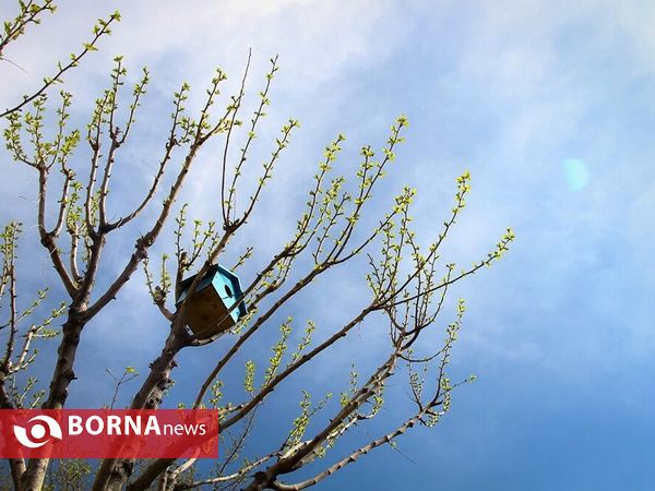تهرانگردی در نوروز