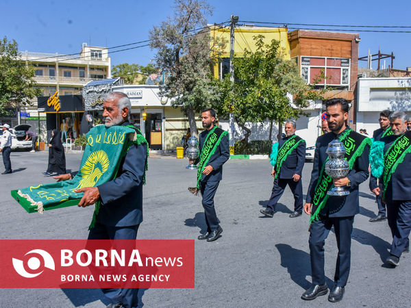 ارادت به امام رضا(ع)