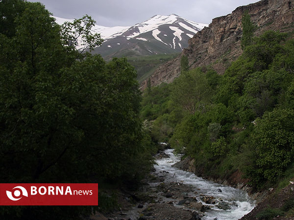 گردشگری در هفته جوان