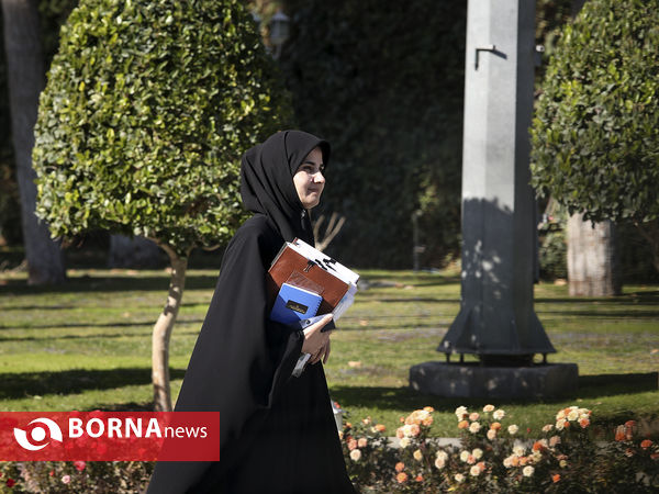 جلسه هیات دولت