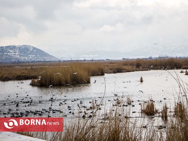 زریبار کردستان