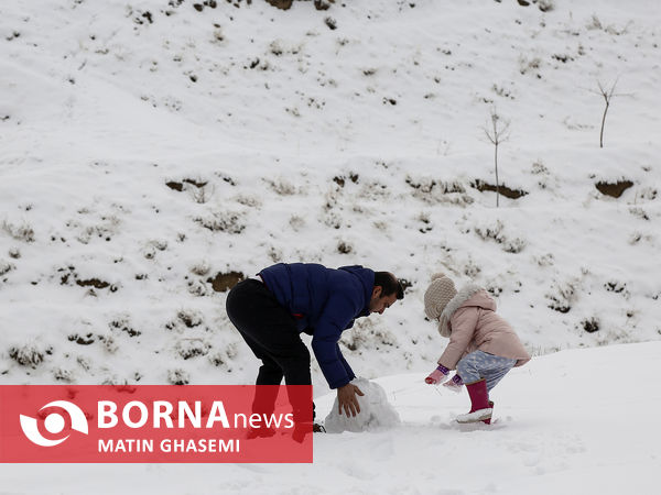 بارش برف در تهران
