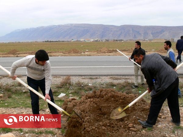 آغازفعالیتهای درختکاری در رومشکان درآستانه هفته منابع طبیعی