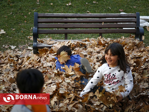 واپسین روزهای پاییزی تهران