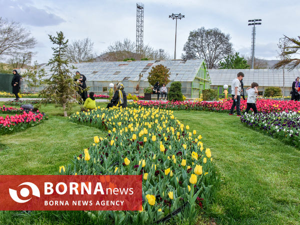 جشنواره گل‌های لاله در اراک
