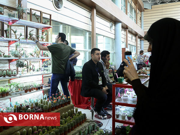 هفدهمین نمایشگاه بین المللی گل و گیاه