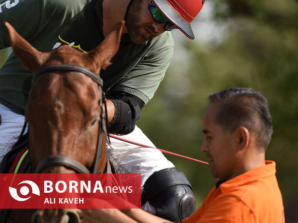 لیگ  ملی چوگان