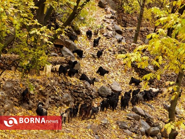 «دشتک» ماسوله ی استان فارس