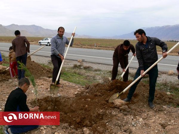 آغازفعالیتهای درختکاری در رومشکان درآستانه هفته منابع طبیعی