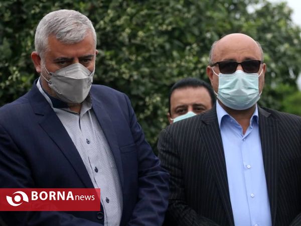 برداشت نخستین برگ چای در سال ۱۴۰۰