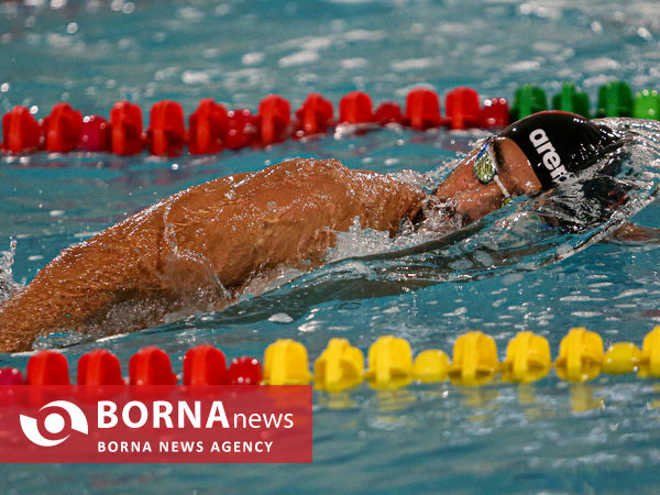 افتتاحیه مسابقات شنا مسافت کوتاه جام ولایت امام رضا(ع)