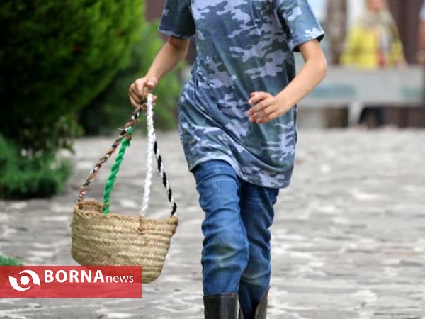 ورود اسبچه های خزری به اکولوژ مزرعه قوها