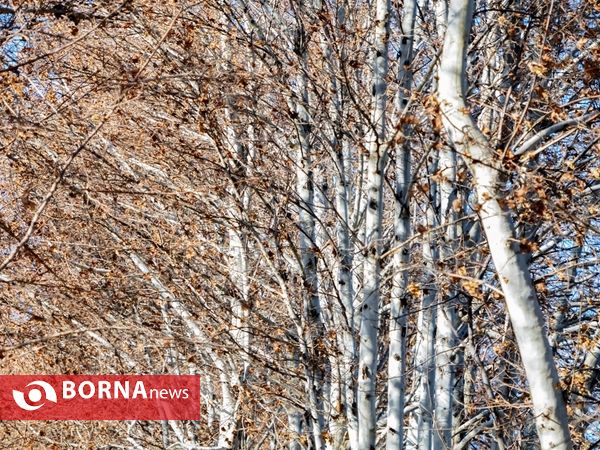 آخرین لحظات پاییزی