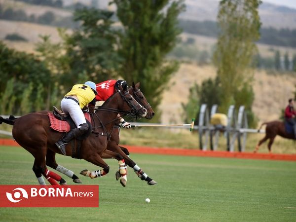 ،مسابقات چوگان جام هفته دفاع