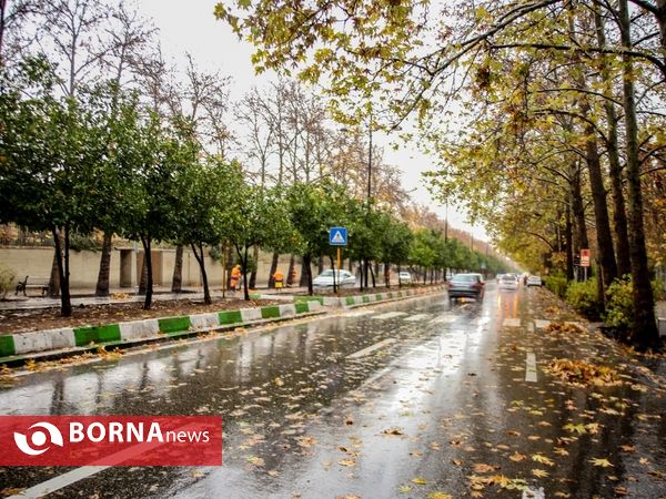 شيراز زیبای بارانی