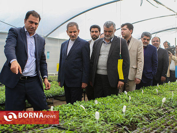 بازدید معاون اول رئیس جمهوری از چند پروژه کشاورزی و صنعتی در شهرستان رباط کریم