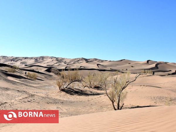 همایش کویرنوردی در نصرت آباد (کویر لوت)