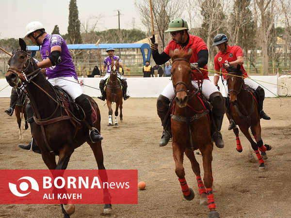 مسابقات چوگان جام قهرمانی باشگاه‌های کشور