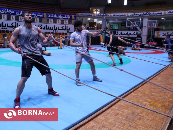 تمرین تیم ملی کشتی فرنگی