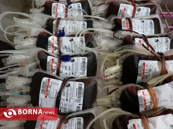 نذر خون شب دهم محرم