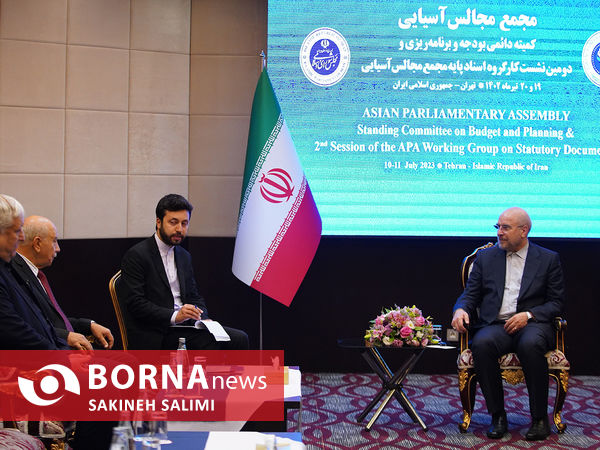 دیدار رئیس هیئت اعزامی شورای ملی فلسطین با رئیس مجلس