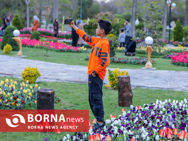 جشنواره گل‌های لاله در اراک