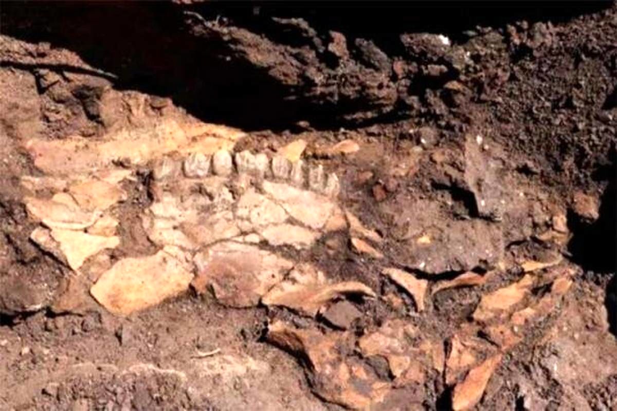 کشف ابزارهای ۷۰۰ هزار ساله + عکس
