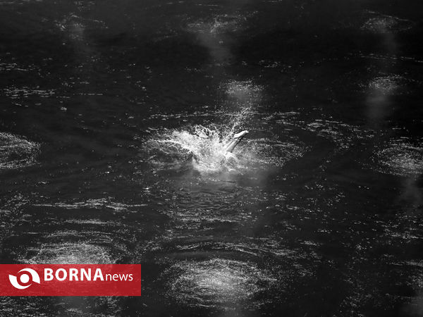 فینال لیگ شیرجه قهرمانی کشور