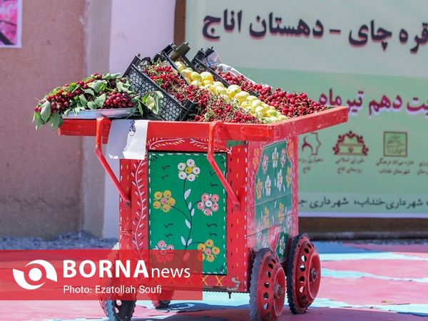 جشنواره آلبالو و گیلاس در دهستان اناج