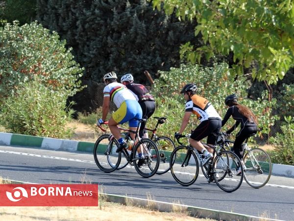 یک روز با دچرخه سواران تهران