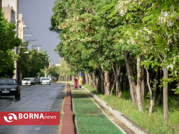 باران  بهاری اراک