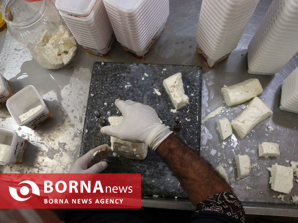 توانمندی های بخش کشاورزی شهرستان شبستر